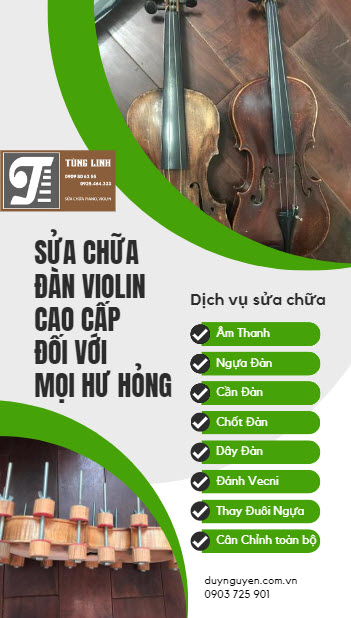 sua chua dan violin kinh nghiem tan tam