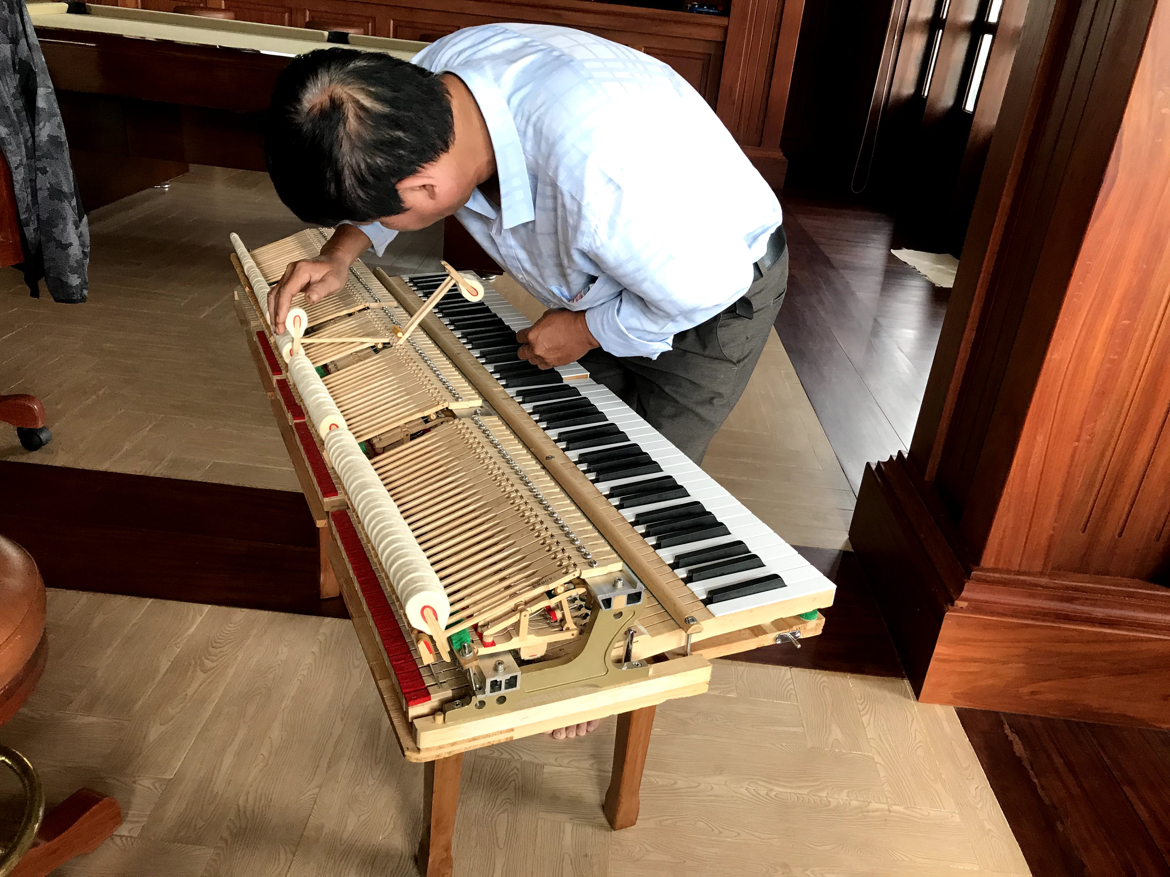 Lên Dây Đàn Piano Cơ Tại HCM & Các Tỉnh Xa chuyên nghiệp
